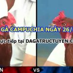 Video gà chọi tại Campuchia – 26/9/2021