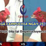Đá gà 999 tại Thomo Campuchia – 25/5/2022