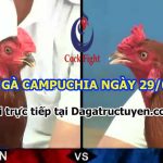 Đá gà Campuchia Thomo thứ 4 ngày 29/6/2022