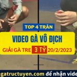 Top 4 Clip Gà Hay của nhà vô địch giải gà Tre 20/2/2023